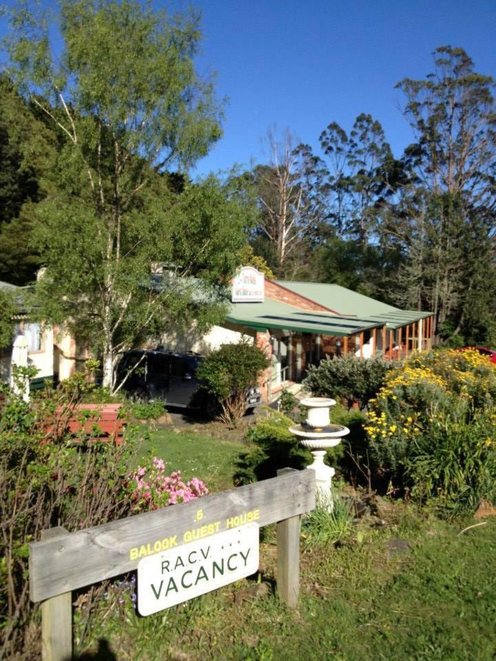 Tarra Bulga Guesthouse Balook Zewnętrze zdjęcie
